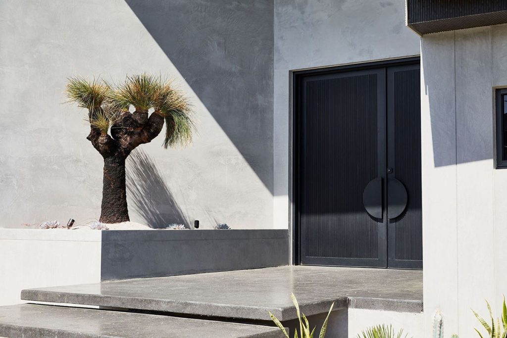 Benfield Concrete House with Custom Steel Entry Door and Landscape Design Custom black steel doors stand against a textured grey wall, accompanied by a striking Yucca tree and clean concrete steps.