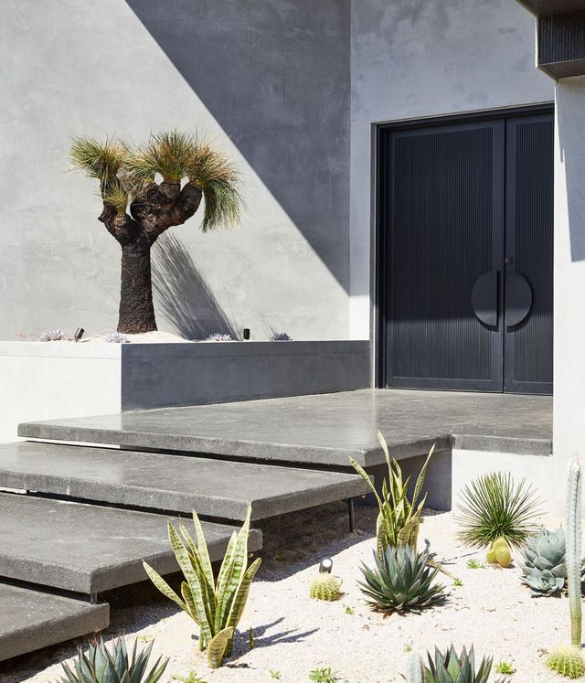 Benfield Concrete House Entrance with Bespoke Steel Doors Contemporary concrete house entrance featuring a sculptural tree, elegant steel doors, and minimalist succulent landscaping.