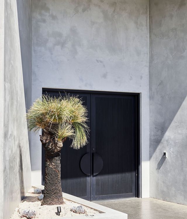 Benfield Concrete House with Steel Door and Landscape Features Dark steel door with circular handle set against a textured grey wall, featuring a spiky palm tree and minimalist landscaping.