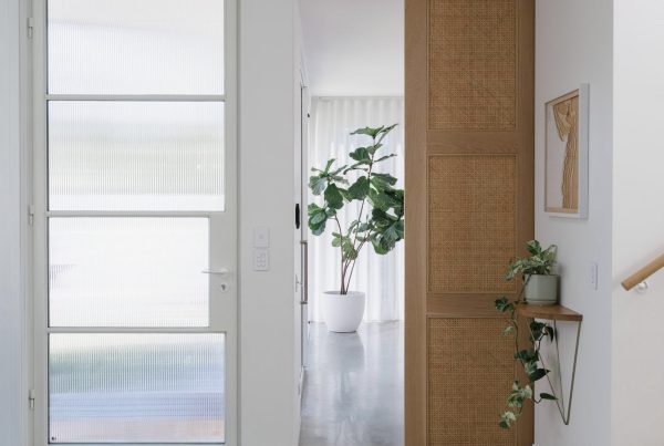 Bright interior with a sleek steel-framed door, potted plants, and a natural timber feature. Light floods the open space, enhancing warmth.
