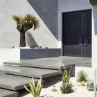 Textured grey wall and dark batten doors entrance with a dramatic tree and succulents in a minimalist garden setting.