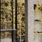 A steel-framed door opens towards a textured concrete pillar, with soft green foliage in the background, creating a tranquil atmosphere.