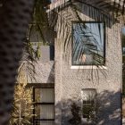 Textured grey facade of a modern house framed by palm leaves, featuring large windows and lush greenery in planters.